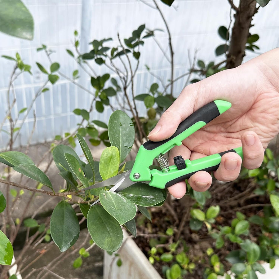 Pruning Shears Set