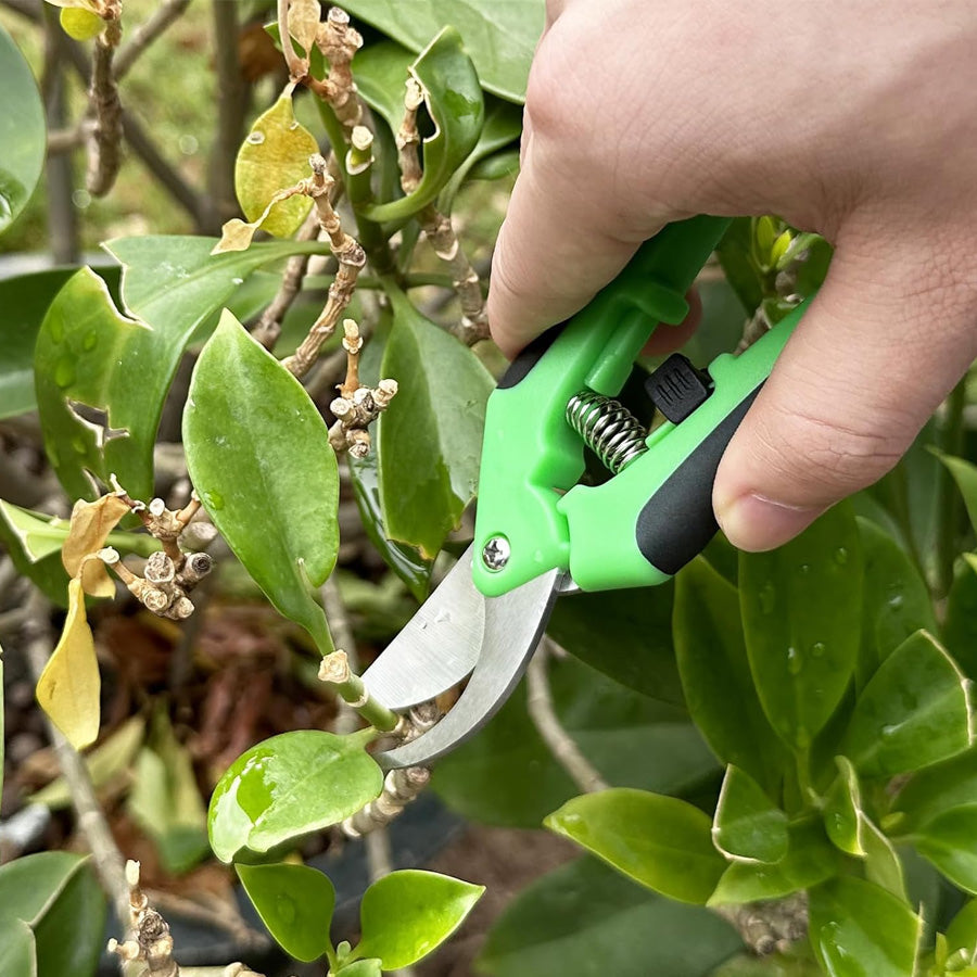 Pruning Shears Set
