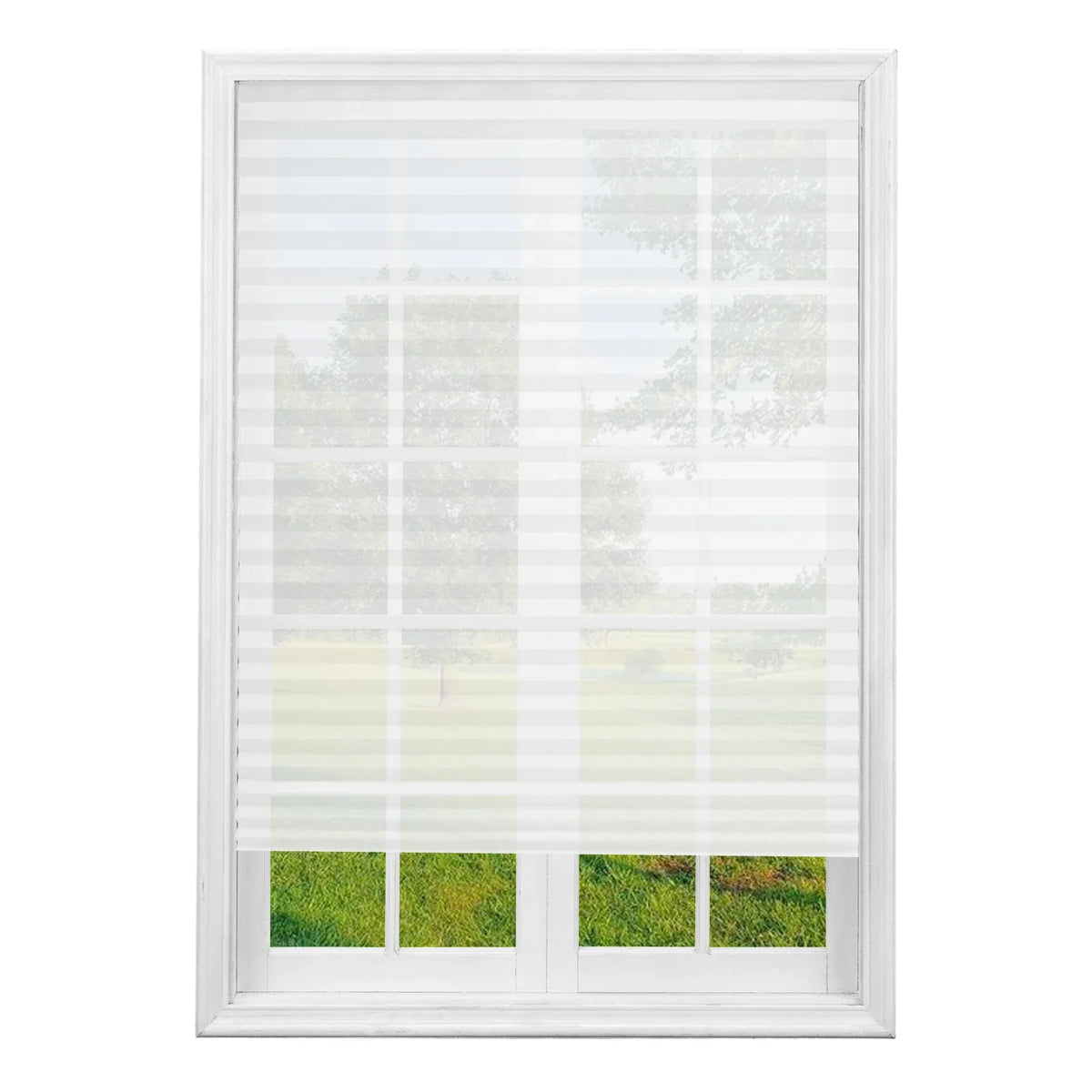 Pleated Window Blinds