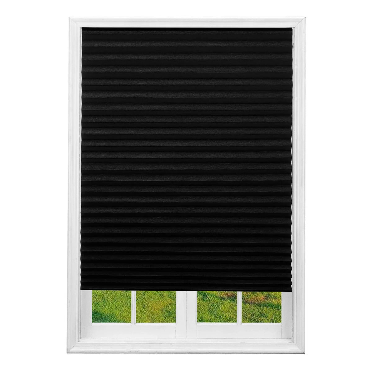 Pleated Window Blinds
