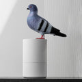 Pigeon Touchless Foam Dispenser