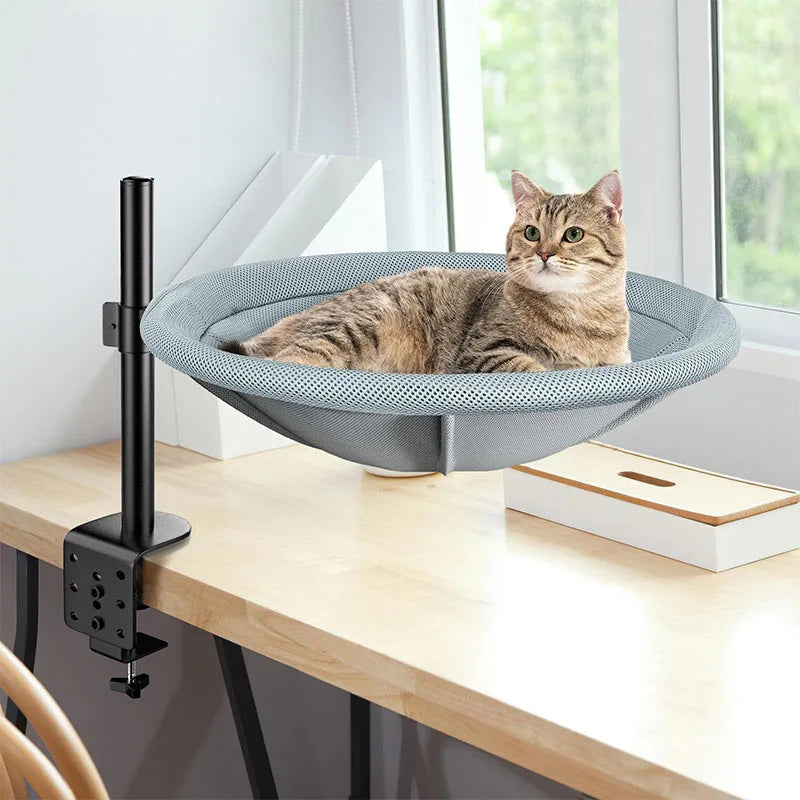 Rotating Cat Perch