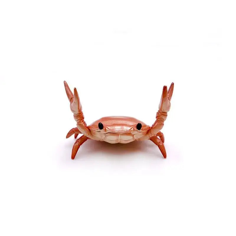 Crab Pen Holder (2 Pcs)