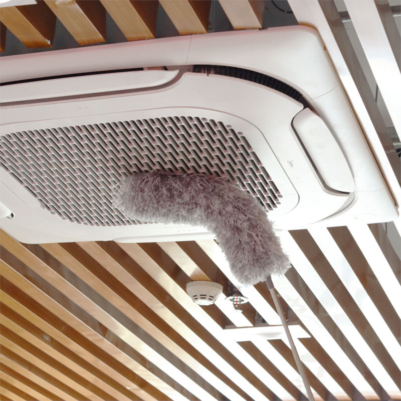Extendable Dust Brush