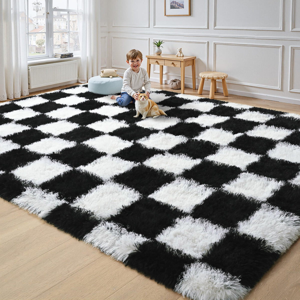 Checkered Area Rug